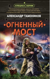 Обложка книги Огненный мост