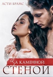 Обложка книги За каменной стеной