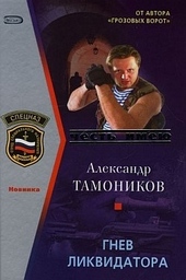 Обложка книги Гнев ликвидатора