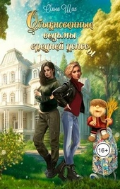 Обложка книги Обыкновенные ведьмы средней полосы
