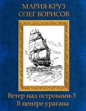 Обложка книги В центре урагана